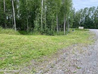 000 Drinkhouse Bluffs, Wasilla, AK 99654