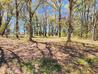 3.94ac Yellow Bluff Rd, Lucedale, MS 39452