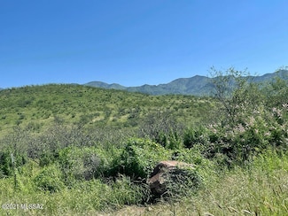121 Tejano Springs Rd Unit 79, Rio Rico, AZ 85621