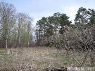 0 Lot 3 Blk 1 Wedgewood Rd NW Unit 4438029, Walker, MN 56484