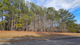 175 Broken Ridge Trail, Seven Lakes, NC 27376