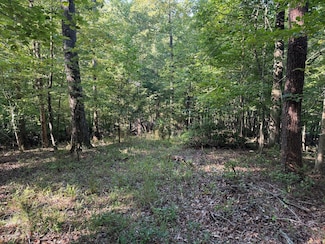 2 Cedar Bluff Ln, Hardy, VA 24101