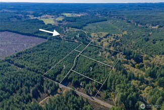 211 W New Moon Ln, Matlock, WA 98560