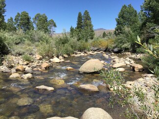 0 Little Walker River Rd, Bridgeport, CA 93517