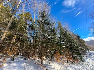 0 Beech St Unit 4978120, Warren, VT 05674