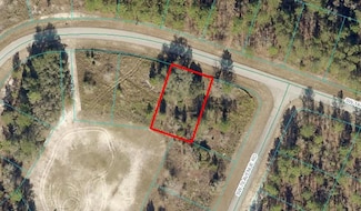 TBD LOT 11 SW 144th St Rd, Ocala, FL 34473