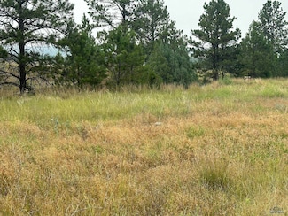 TBD Pasque Flower Ln, Hot Springs, SD 57747