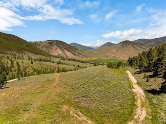 1220 Mountain View Ave, Almont, CO 81210