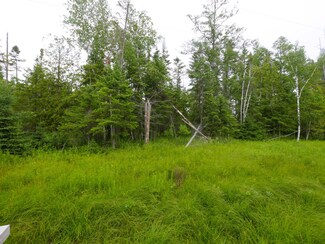 0 E Black River Rd, Black River, MI 48721