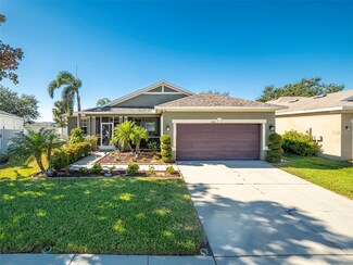 11415 Laurel Brook Ct, Riverview, FL 33569