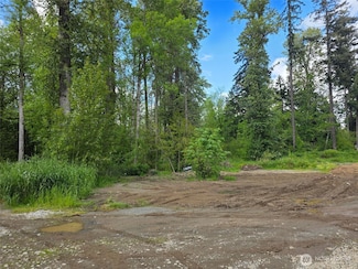 37501 50th Ave S, Lakeland North, WA 98001