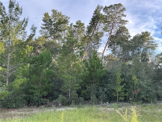 0 SW 112th St Unit MFROM712614, Ocala, FL 34476