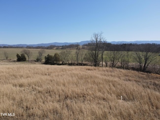 Tbd River Village Ln, Afton, TN 37616