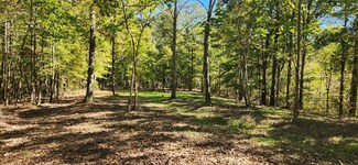 0 Swan Creek Rd, Centerville, TN 37033