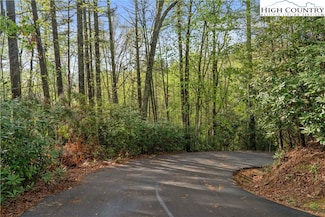 TBD Springhollow Rd, Banner Elk, NC 28604