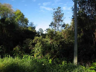 0 Volcano Rd Unit 718402, Volcano, HI 96785