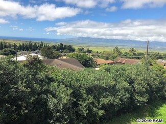 167 Alohi Place, Makawao, HI 96768