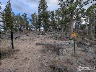 29 Santa Clara Ct, Red Feather Lakes, CO 80545