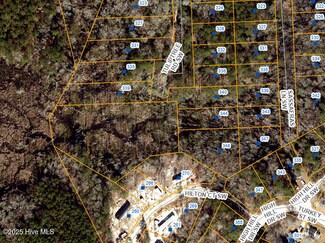 339 Tuliptree Rd SW, Supply, NC 28462
