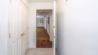 807 Asa Gray Dr Unit 305, Ann Arbor, MI 48105