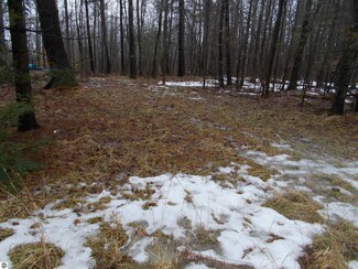 00 Pine St, Hale, MI 48739