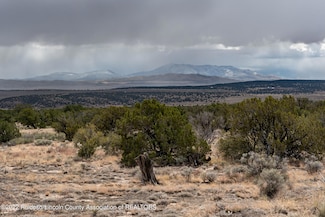 Lot 96 Campfire Trail, Ancho, NM 88301