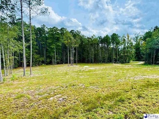 2025 Sam Jones Rd, Patrick, SC 29584