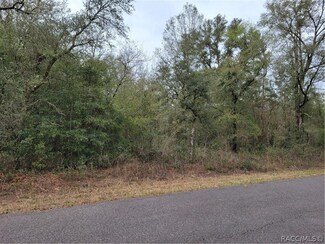 TBD SW Gering Blk 3 Lot 31 Ct, Dunnellon, FL 34432
