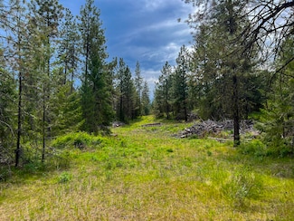 20XX Clemons Rd, Rice, WA 99167
