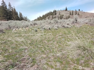 143 Lower White Rock Rd, Oroville, WA 98844
