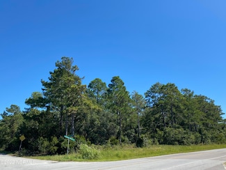 1785 Horizon Dr SW, Supply, NC 28462