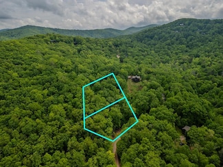 3.3 Acre Mangum's Trail, Blue Ridge, GA 30513