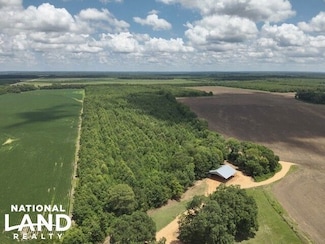 0 Highway 8 North Tract, Philipp, MS 38950