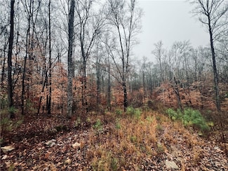 0 Lee Road 393 Unit 173811, Auburn, AL 36832