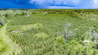 XX1 North Rd, Cottondale, FL 32431
