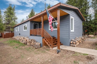 192 Little Creek Rd, Idaho Springs, CO 80452