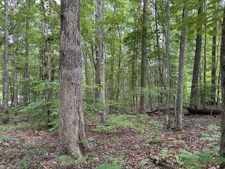 Lot 119 Huckleberry Dr, Jamestown, TN 38556