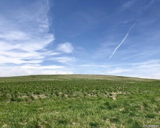 41382 Bijou View, Agate, CO 80101