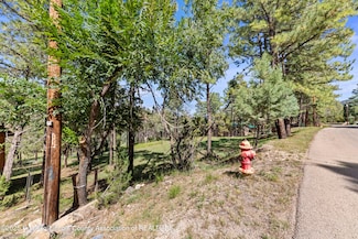 217 Swallow Dr, Ruidoso, NM 88345