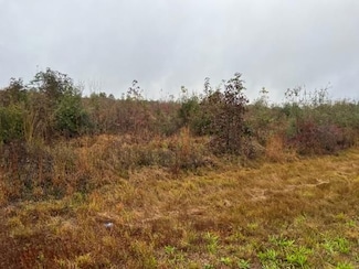 21 North St, Peterman, AL 36471