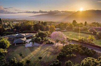 20 Lealea Place, Makawao, HI 96768