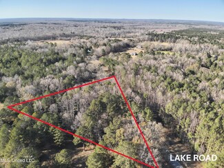 0 Lake Rd Unit 4099582, Pelahatchie, MS 39145
