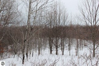 0 Ance Rd Unit 1779182, Northport, MI 49670
