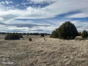 1001 S Ridgeway Place Unit 111, Show Low, AZ 85901