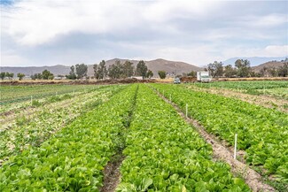 34250 Olive Ave, Winchester, CA 92596