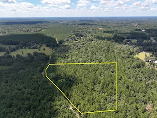 0 County Road 4470, Ivanhoe, TX 77664