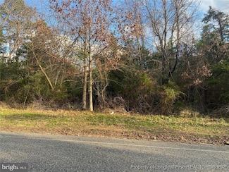 0 26 5 Acres McIntyre Land Unit 737519, Fayetteville, NC 28301