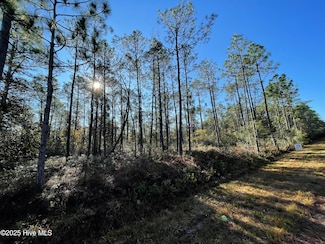 L-191 Audubon, Southport, NC 28461