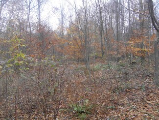 0 T394, Colley Township, PA 18614