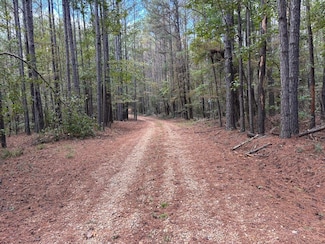 501 Hwy 13 S, Mendenhall, MS 39114